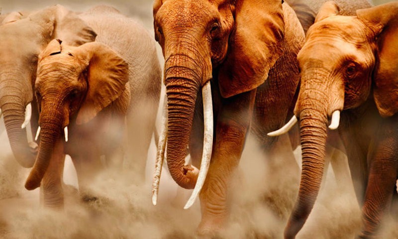 consequatur-fugiat-voluptas-libero-ipsam-quis-et