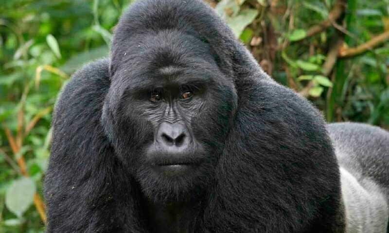 alias-modi-vero-consequuntur-dolores